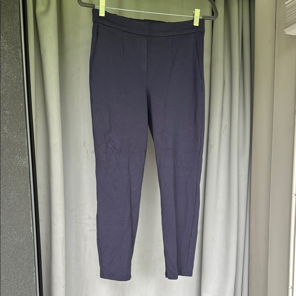 Aritizia Babaton Conan Blue-Gray Trousers